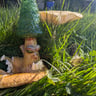 Small image 0