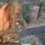 Small image 4