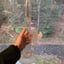 Small image 8