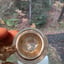 Small image 6