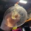 Small image 5