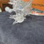 Small image 8
