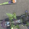 Small image 4