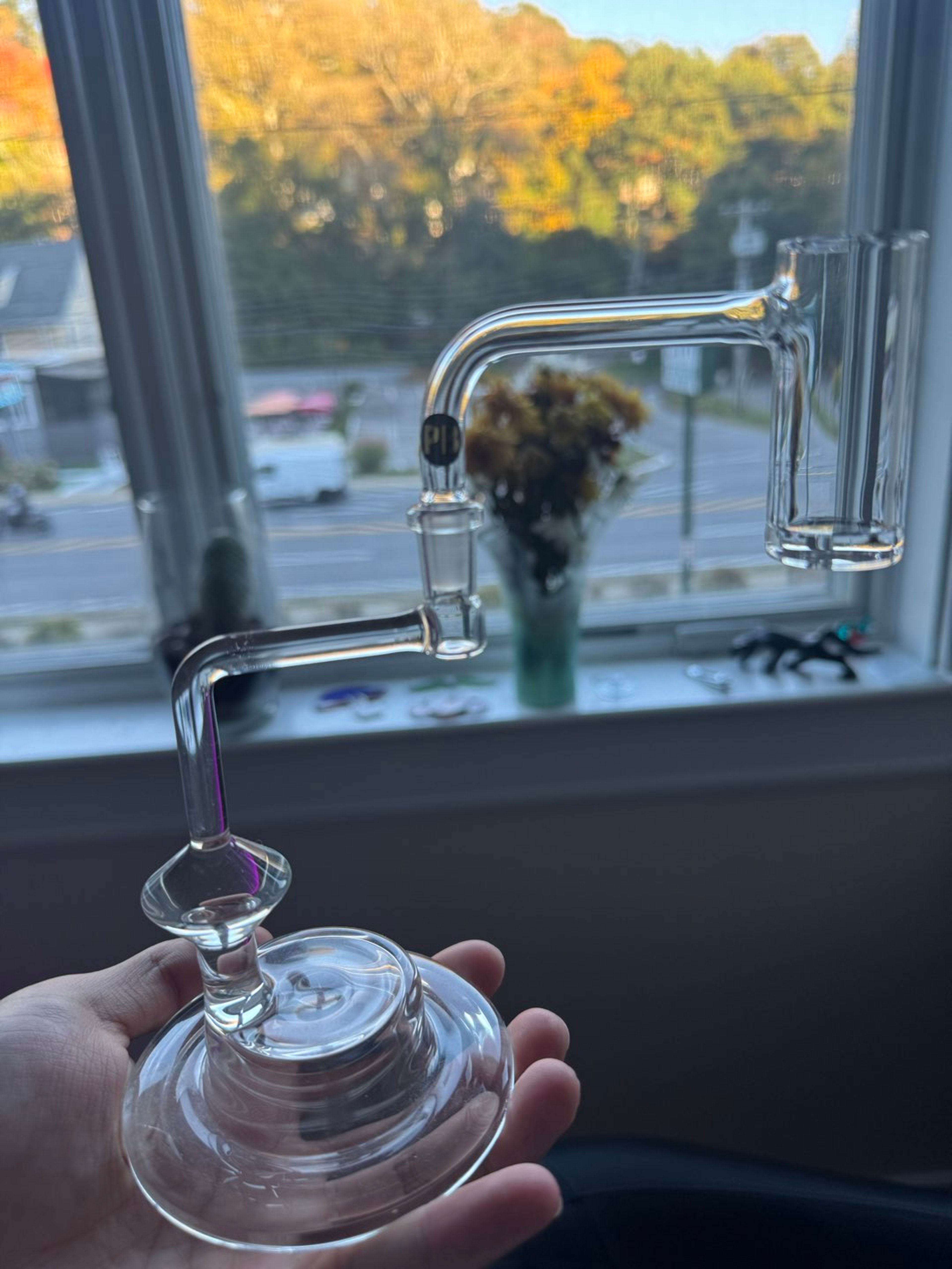 Pukinbeagle 10/25/90 banger + stand image 0