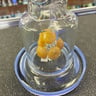 Small image 5