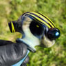 Small image 4