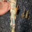 Small image 8