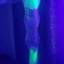 Small image 9