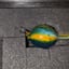Small image 2