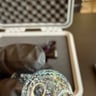 Small image 5