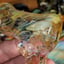 Small image 6