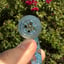 Small image 7