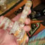 Small image 4
