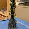 Small image 5