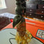 Small image 6