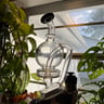 Small image 4