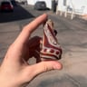 Small image 1