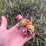 Small image 4