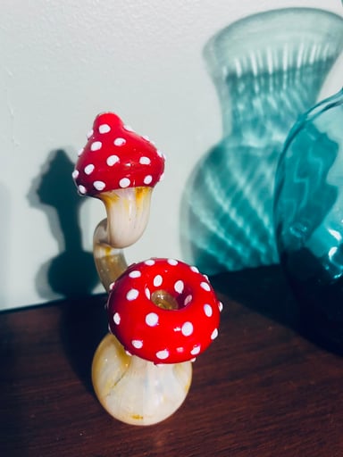 Preview pic of 🍄Mushroom bubbler