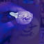 Small image 9