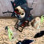 Small image 2