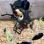 Small image 5