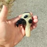 Small image 2