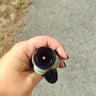 Small image 3
