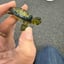 Small image 6