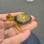 Small image 5