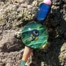 Small image 4