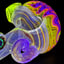 Small image 6