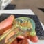 Small image 9