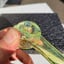 Small image 8