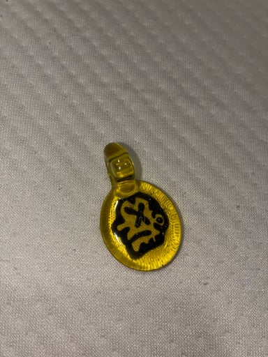 Preview pic of Ben Focus face flip pendant
