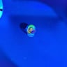 Small image 6