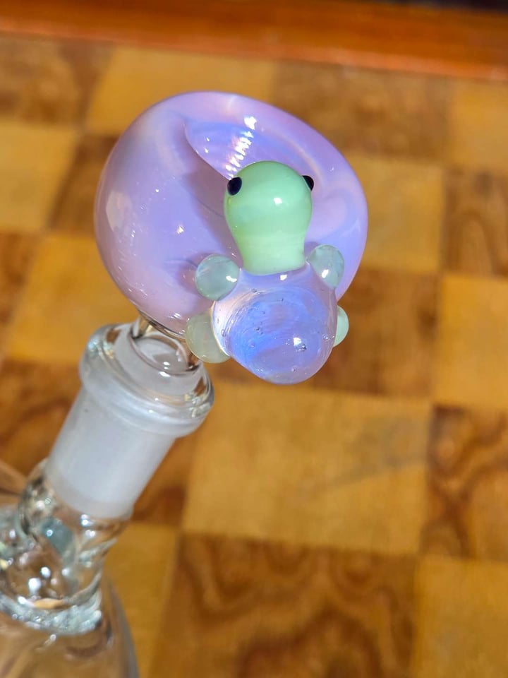 10mm Mini Bong with... | Shop Percolated Bongs on GlassPass