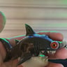 Small image 1