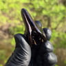 Small image 5