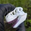 Small image 7