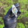 Small image 4