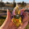 Small image 5