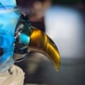 Small image 3