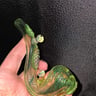 Small image 1