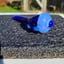 Small image 9