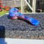 Small image 6