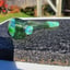 Small image 5