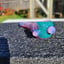 Small image 4