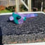 Small image 6