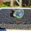 Small image 5